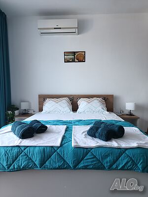 image_42