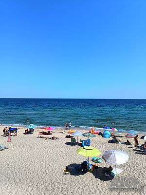 image_40
