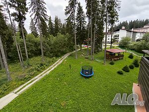 image_24