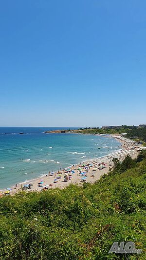image_6
