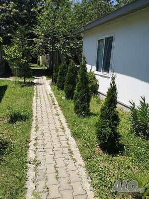 image_16