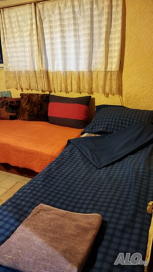 Стая под наем Стая за работник - 12 евро