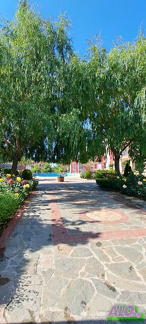 image_36
