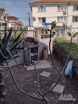 image_13