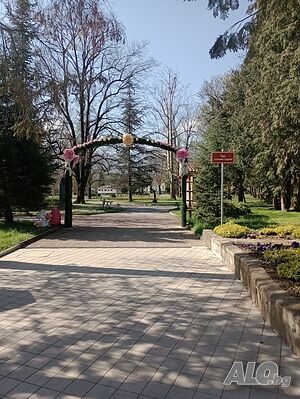 image_11