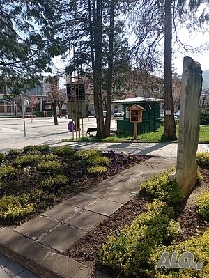 image_14