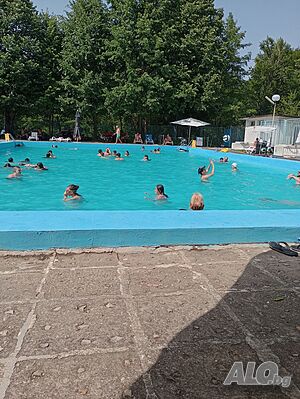 image_19