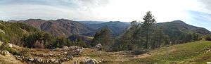 image_12