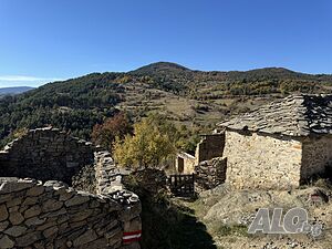 image_18