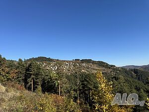 image_19