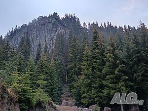 image_20