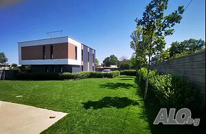image_4