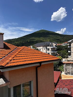 image_11