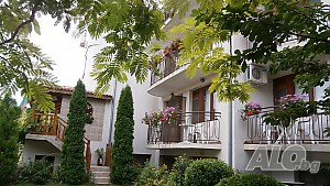image_11