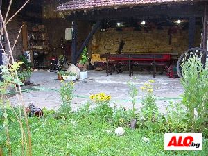 image_8