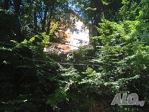 Легло в стая вила д и а м а н т