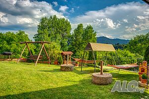 image_6