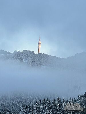 image_22