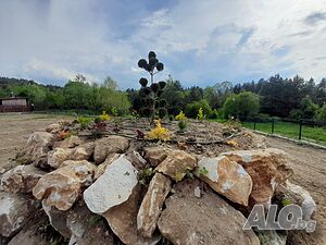image_44