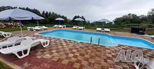image_42