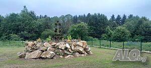 image_36