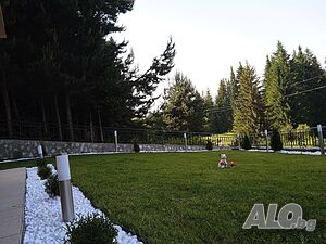 image_31