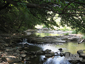 image_27
