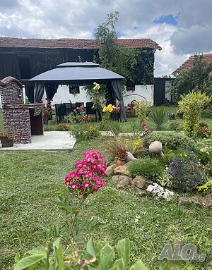 image_12