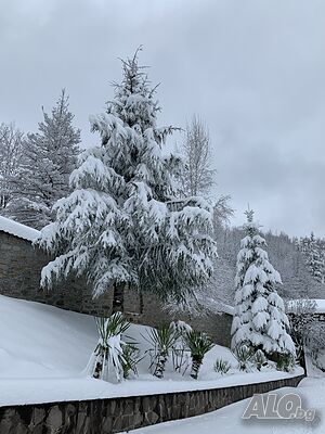 image_11