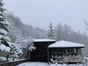 image_12
