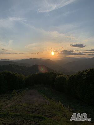 image_16