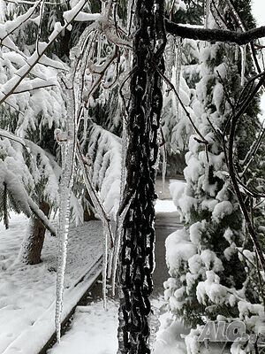 image_18