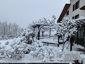 image_21