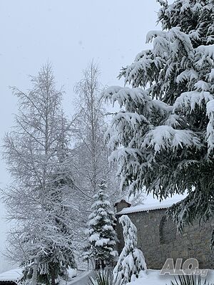 image_22