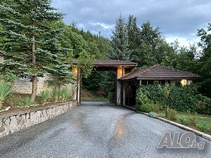 image_33