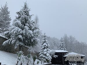image_34
