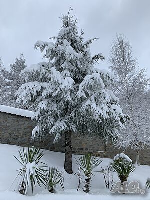 image_36