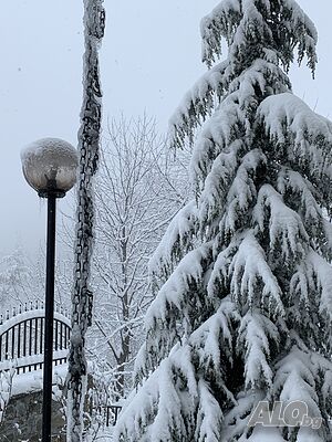 image_40