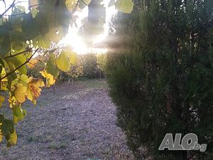 image_21