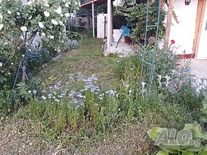 image_16