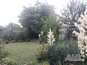 image_18