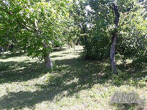 image_34