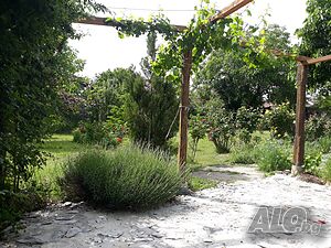 image_36