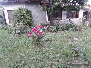 image_43