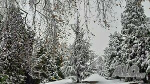 image_44