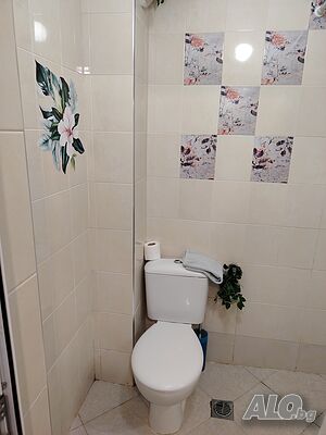 image_11