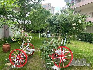 image_19