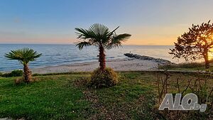 image_14