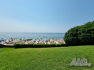 image_19