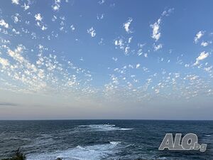image_35